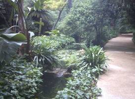 Историко-ботанический сад 