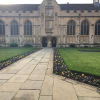 University College