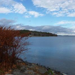 Frenchman Bay