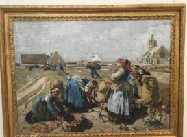 Musée des Beaux Arts