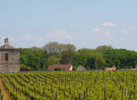 Clos de Vougeot