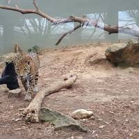 Montgomery Zoo