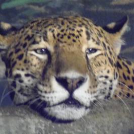 Milwaukee County Zoo