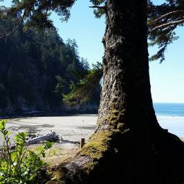 Oswald West State Park