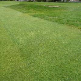 Ballater Golf Club
