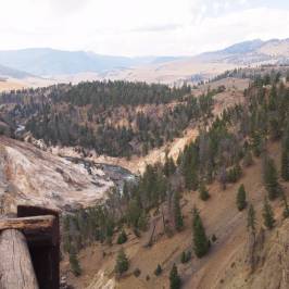 Yellowstone River