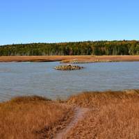 Irving Nature Park