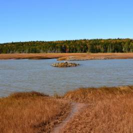 Irving Nature Park