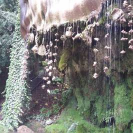 Mother Shipton's Cave and The Petrifying Well