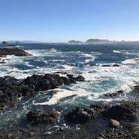 Wild Pacific Trail