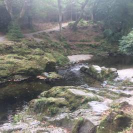 Tollymore Forest Park