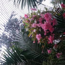 The Botanical Gardens