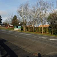 Loyalist Murals (Nelson Drive)