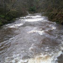 Calderglen Country Park