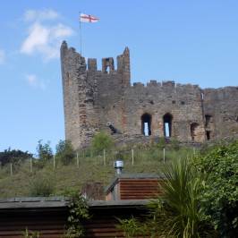 Dudley Zoo and Castle