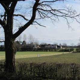 Umberslade Farm Park