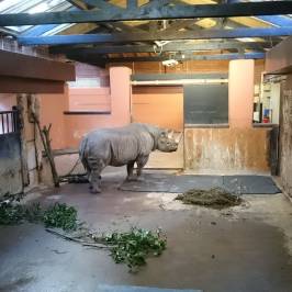 Paignton Zoo Environmental Park