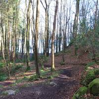 The Lough Gill Drive