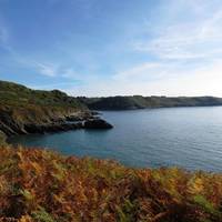 Brandy Cove