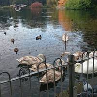 Brynmill Park