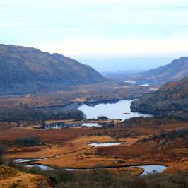 Ladies' View
