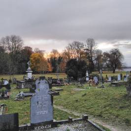Muckross Abbey