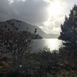 Killarney National Park
