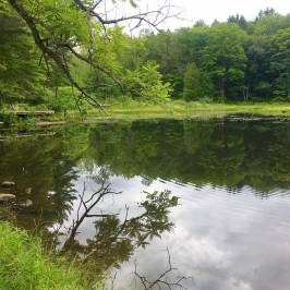 Pleasant Valley Sanctuary