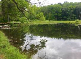 Pleasant Valley Sanctuary