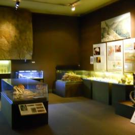 Musee de Prehistoire Regionale