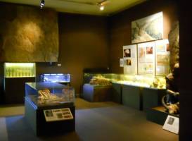 Musee de Prehistoire Regionale