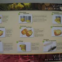 Musee du Vin de Bourgogne