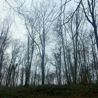 Bryngarw Country Park