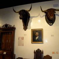 Museo Municipal de Arte Taurino