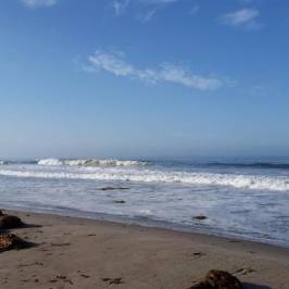 Jalama Beach County Park