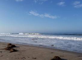 Jalama Beach County Park
