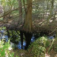 Island Creek Trail