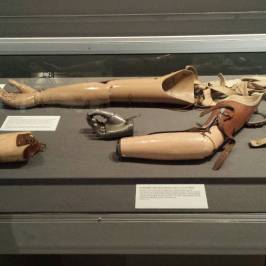 Queen Victoria Museum & Art Gallery
