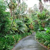 Королевские ботанические сады Мельбурна