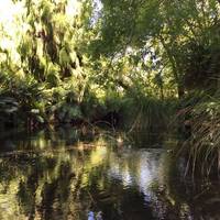 Buried Village of Te Wairoa