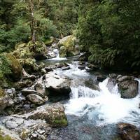 Fiordland National Park (Te Wahipounamu)