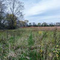 Clive Greenbelt Trail