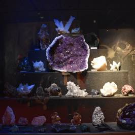 Milwaukee Public Museum