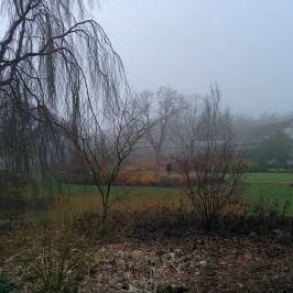 RHS Garden Harlow Carr