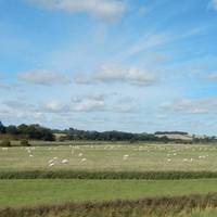 1066 Country Walk