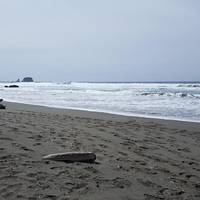 Shi Shi Beach