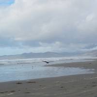 Morro Strand State Beach