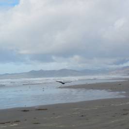 Morro Strand State Beach