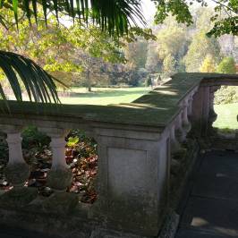 Chanticleer