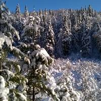 Parc national de la Jacques-Cartier